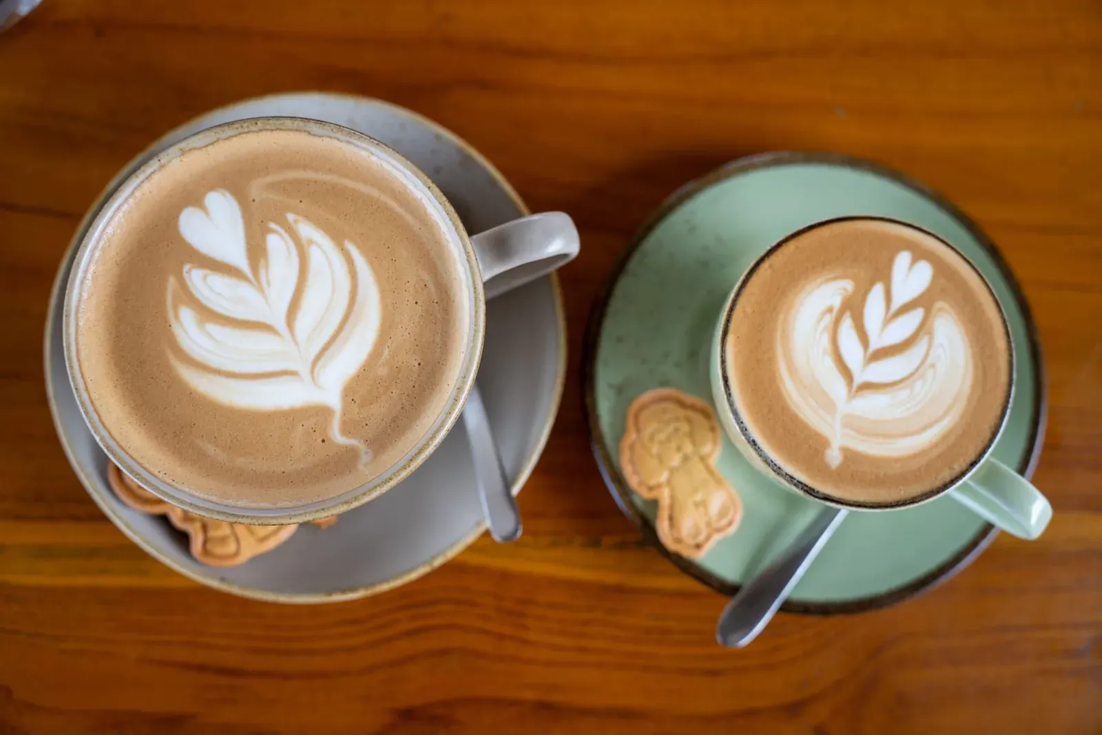 Best Cafés & Brunch Spots in Koh Samui (2026) — By Area
