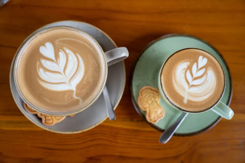 Who Roasts Samui's Coffee