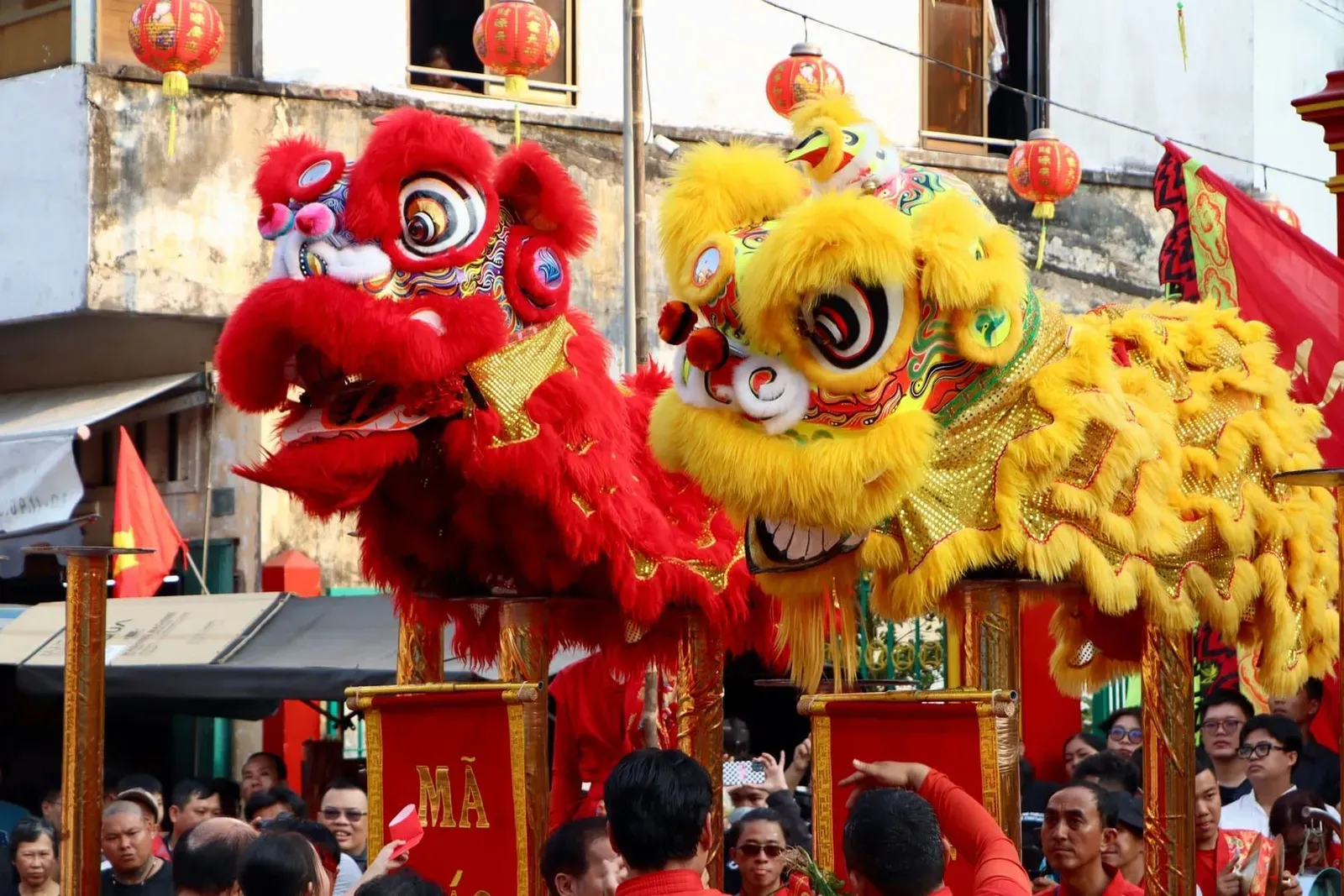 Crowd watching a colorful Chinese lion dance performance during a street festival