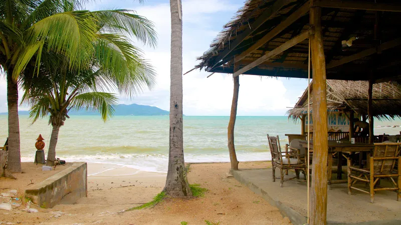 Thatched-roof beach restaurant with wooden tables under palm trees on Choeng Mon Beach, Koh Samui