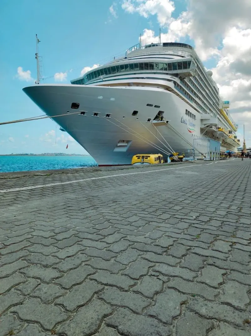 Luxury cruise ship at a sunny harbor, similar in size to vessels anchoring off Nathon