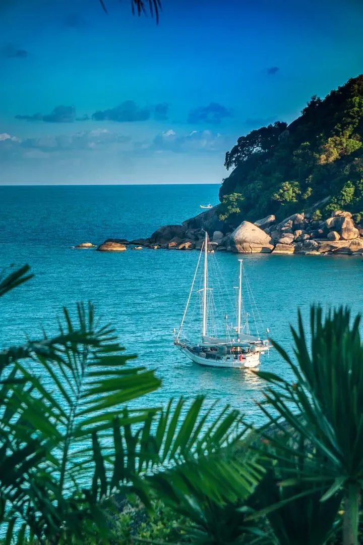Sailboat near a lush Koh Samui coastline framed by palm leaves on the island's tropical north shore
