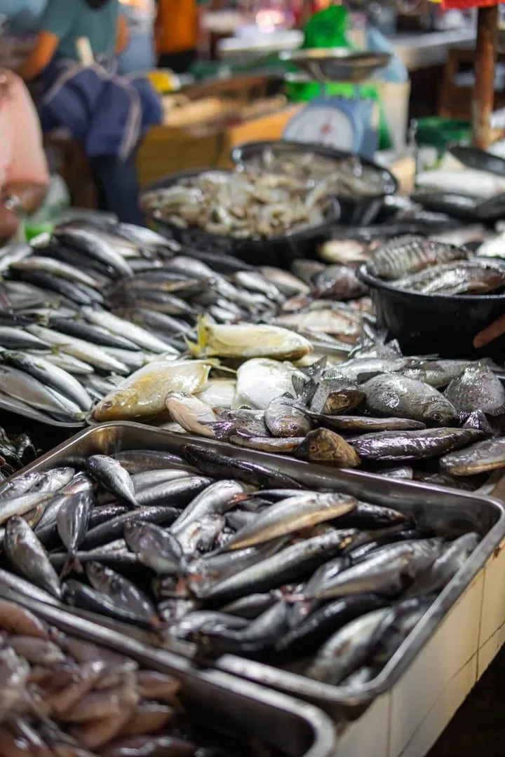 Abundant fresh seafood variety on display at a Koh Samui market stall