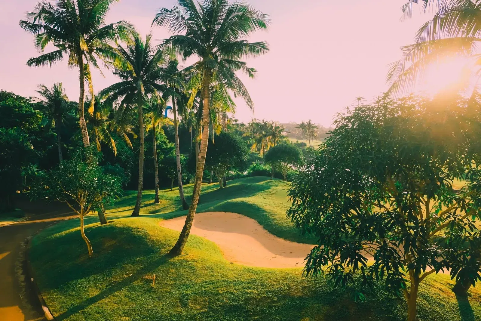 Scenic tropical golf course with palm trees and sand bunkers similar to Santiburi Samui Country Club