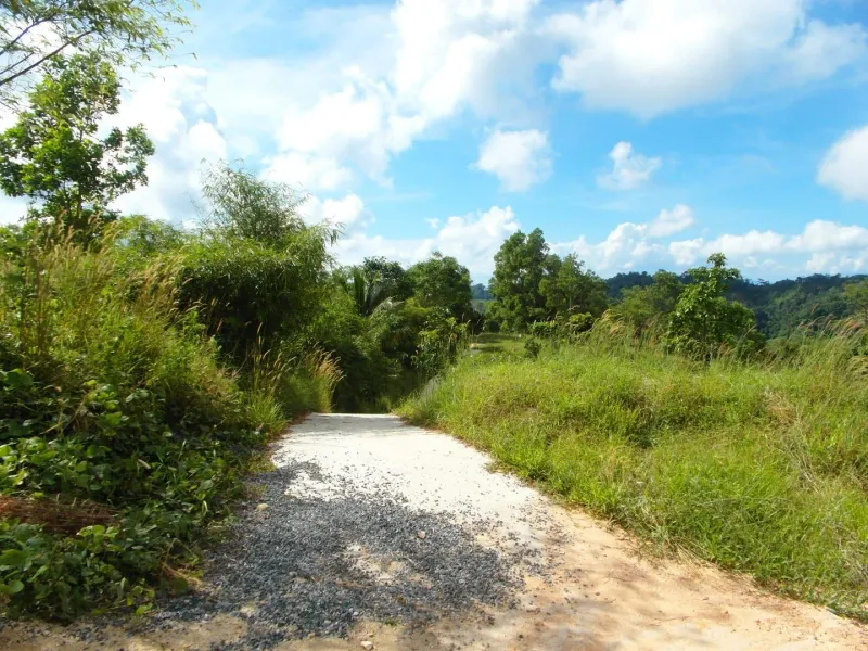 A gravel path through grassy hills in Koh Samui's mountainous interior
