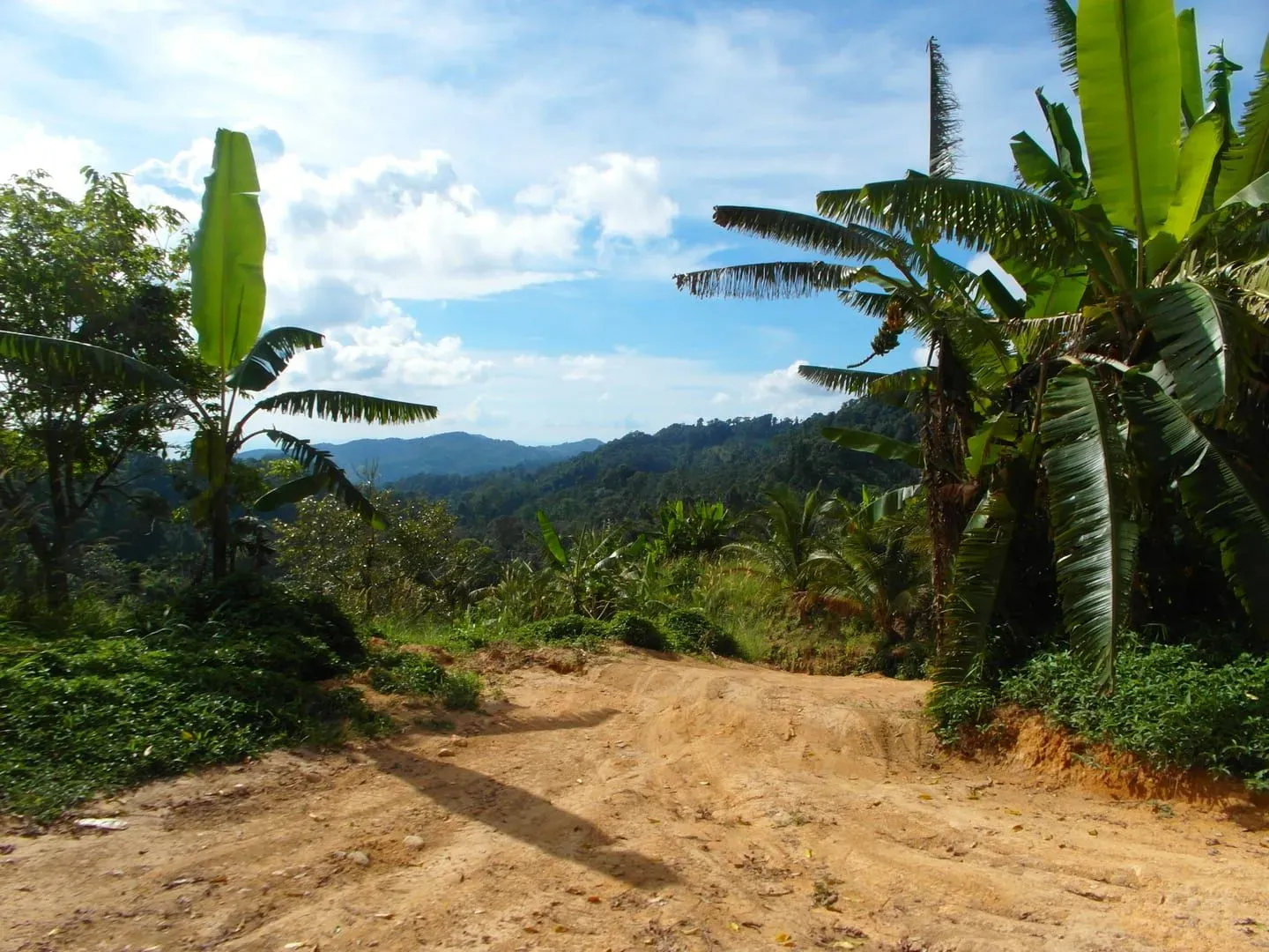 Forested mountain ridgelines in Koh Samui's central interior, near the Jungle Route 360 summit