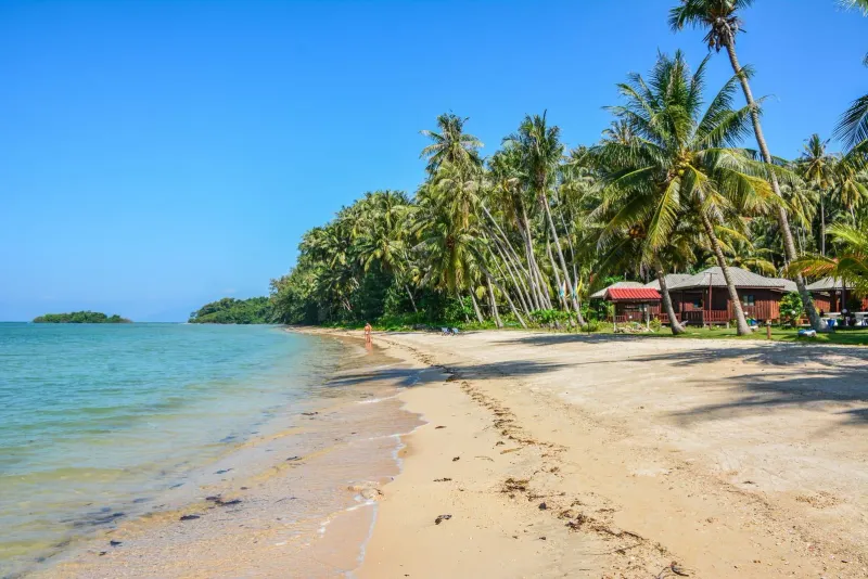 Palm trees and huts on a tropical Thai island beach with clear blue water