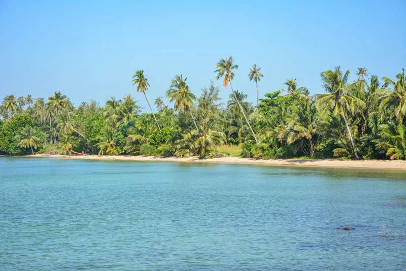 Lush palm-lined shoreline with calm turquoise water on a Gulf of Thailand island