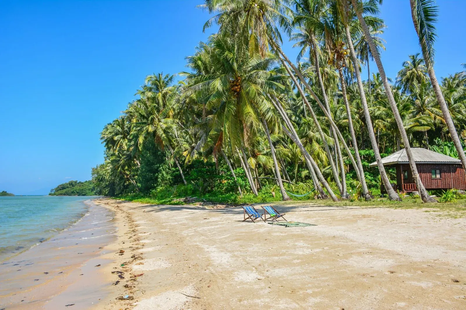 Palm trees and clear water on a tropical beach, typical of Koh Samui's warm June sea conditions