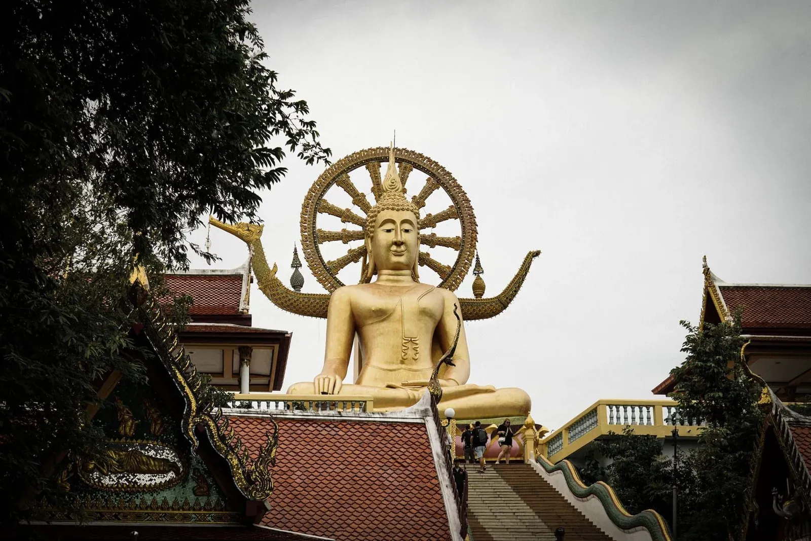 Koh Samui in One Day — Layover & Cruise-Stop Itinerary