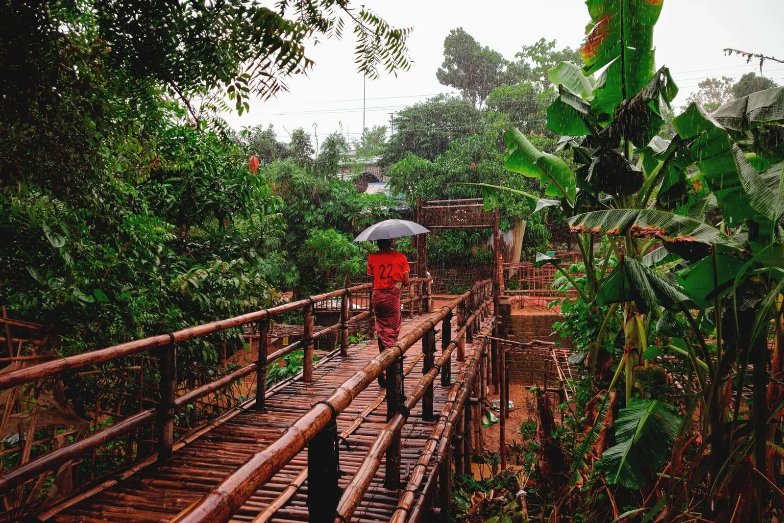 Motorcyclist riding along a wet forest road under heavy rain, similar to scooter conditions on Koh Samui in November
