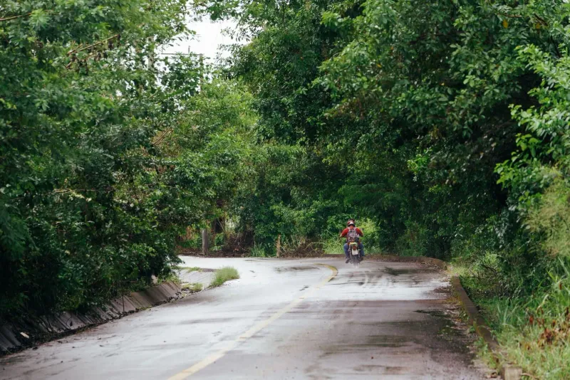 Wet forest road winding through dense green jungle typical of Koh Samui in the November rainy season