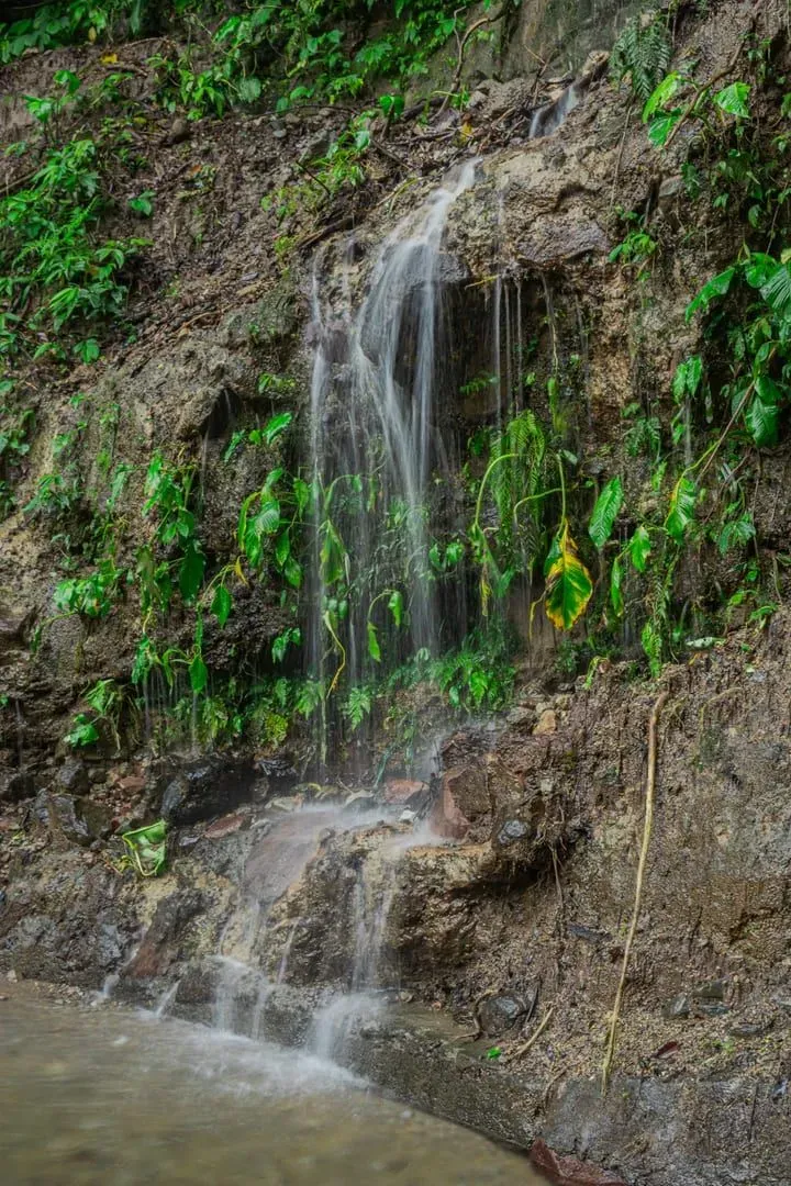 Small cascading waterfall over a rocky cliff surrounded by lush November rainforest greenery