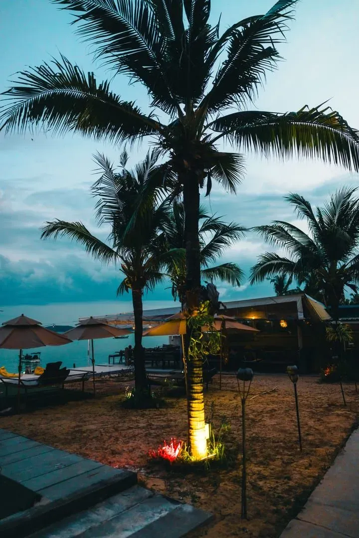 Beachfront bar and restaurant glowing at twilight with palm trees silhouetted against the sky