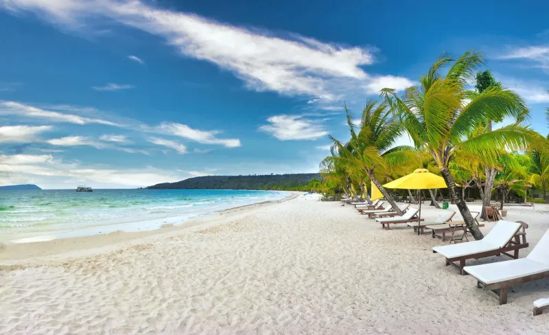 Serene beach scene with palm trees and lounge chairs during the quiet low season