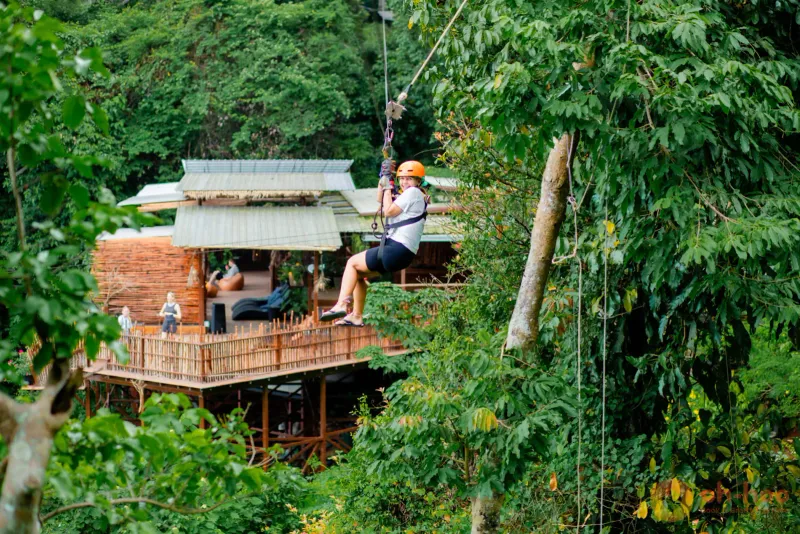 Treehouse dining platform built into a jungle canopy with a rope walkway, Koh Samui