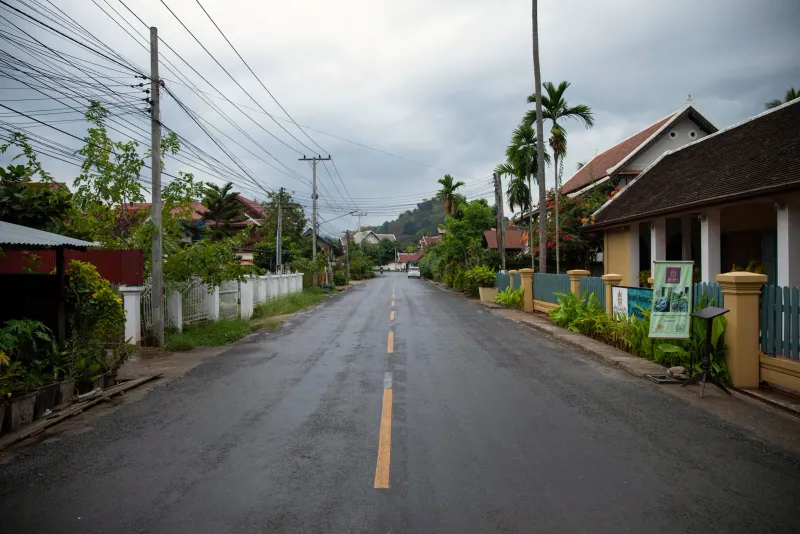 Rue de bitume mouillé et déserte bordée de plantes tropicales, avec une ligne centrale jaune
