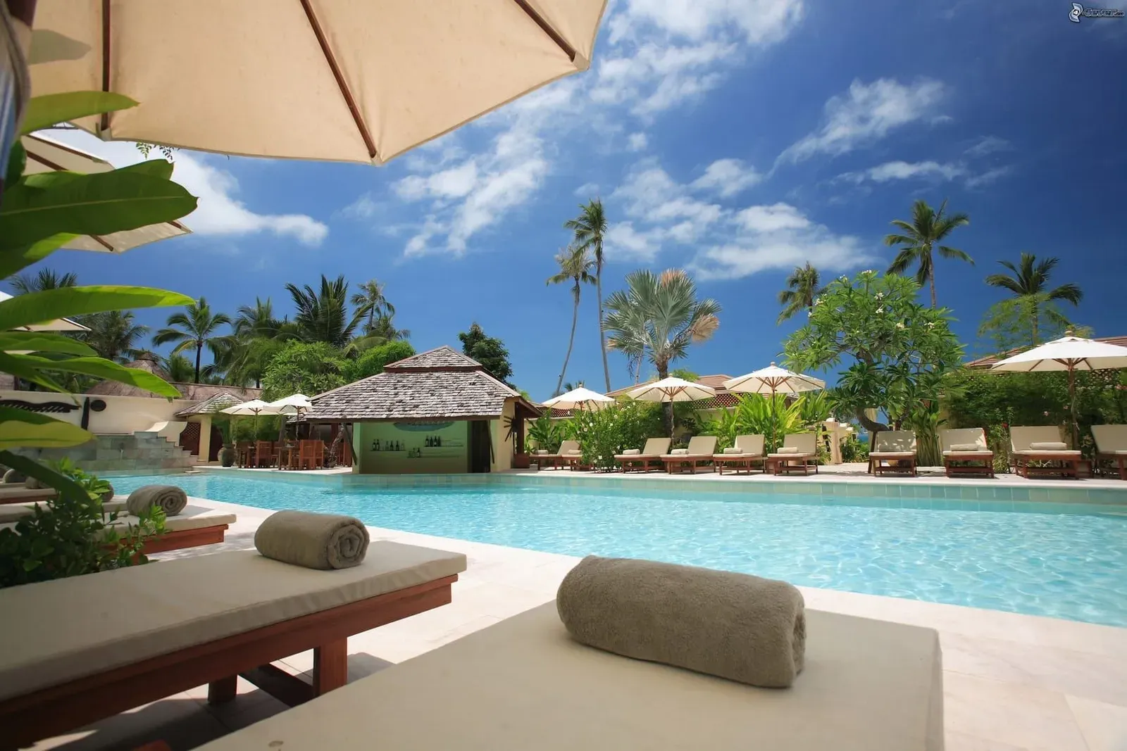 Sunlit tropical resort poolside with palm trees typical of a Koh Samui mid range hotel stay