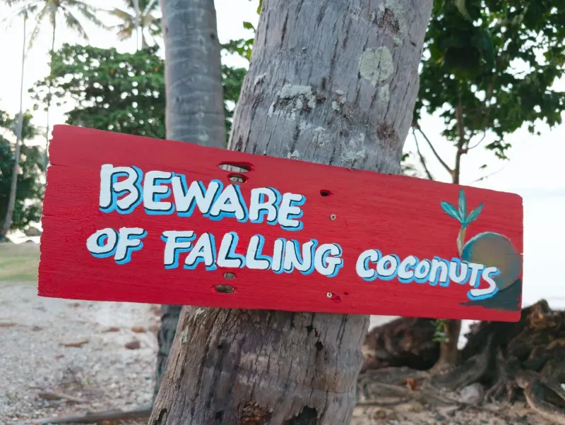 Falling coconuts warning sign on a tree at a tropical Koh Samui beach