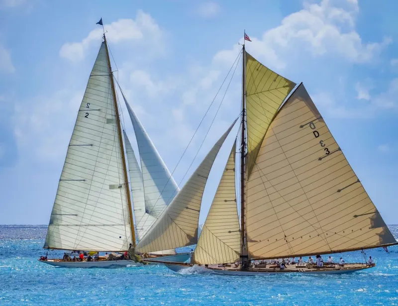 Classic racing yachts sailing close together, similar to the keelboat fleet at Samui Regatta