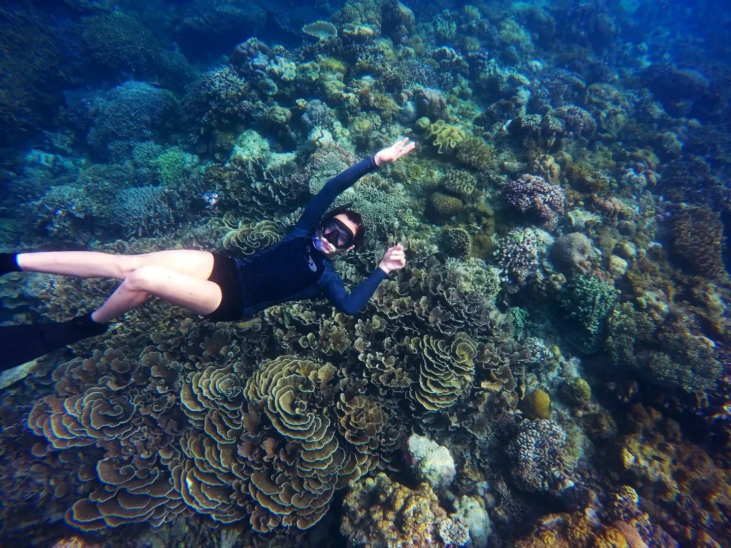Best Snorkeling Spots in Koh Samui — From the Beach & by Boat (2026)
