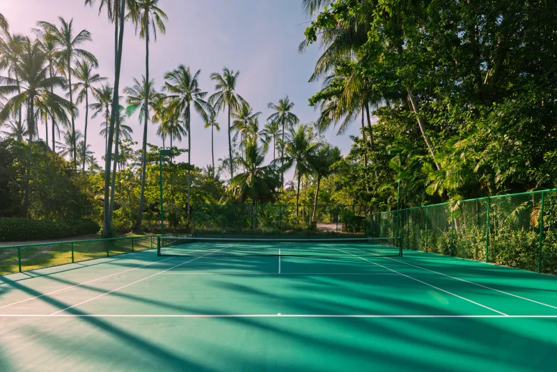 A green tennis court beside tall palm trees
