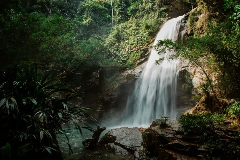 Cascading waterfall through dense tropical jungle foliage similar to Koh Samui trails