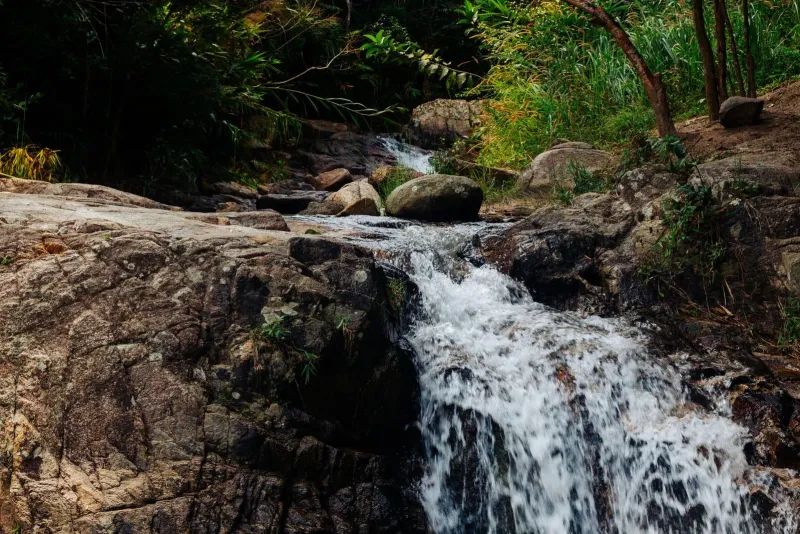 Cascata a gradoni nella giungla su rocce coperte di muschio, tipica dei sentieri dell'interno di Koh Samui