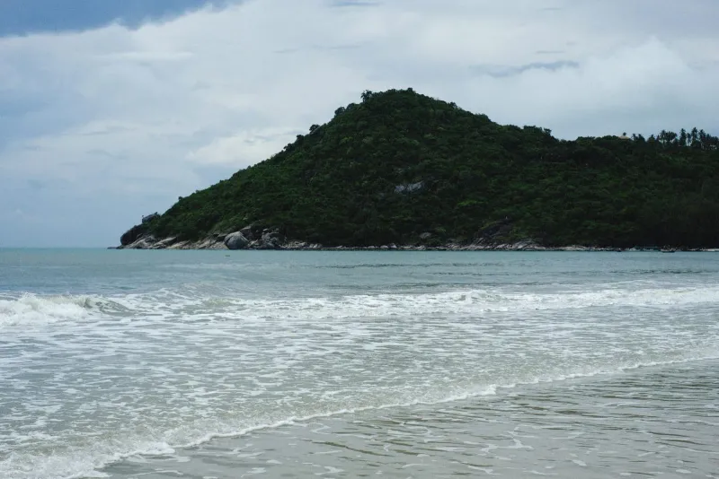 Green coastal hillside above crashing waves representing Koh Samui's varied coastal sea states