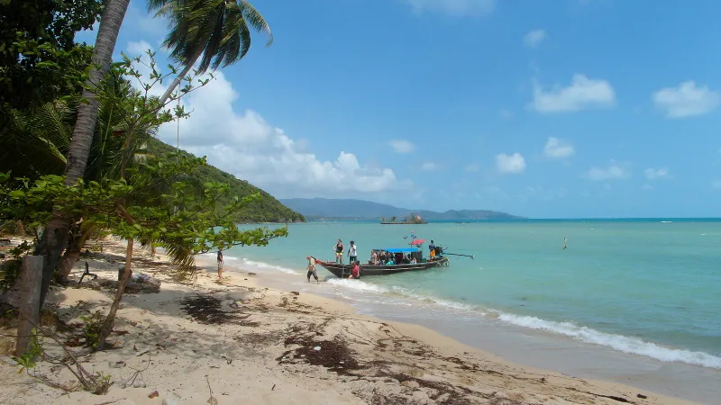 Un longtail descargando pasajeros en una playa bordeada de palmeras en Koh Tan