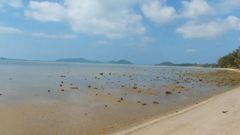 Strand auf der Insel Ko Samui, Thailand (Febr. 2014)