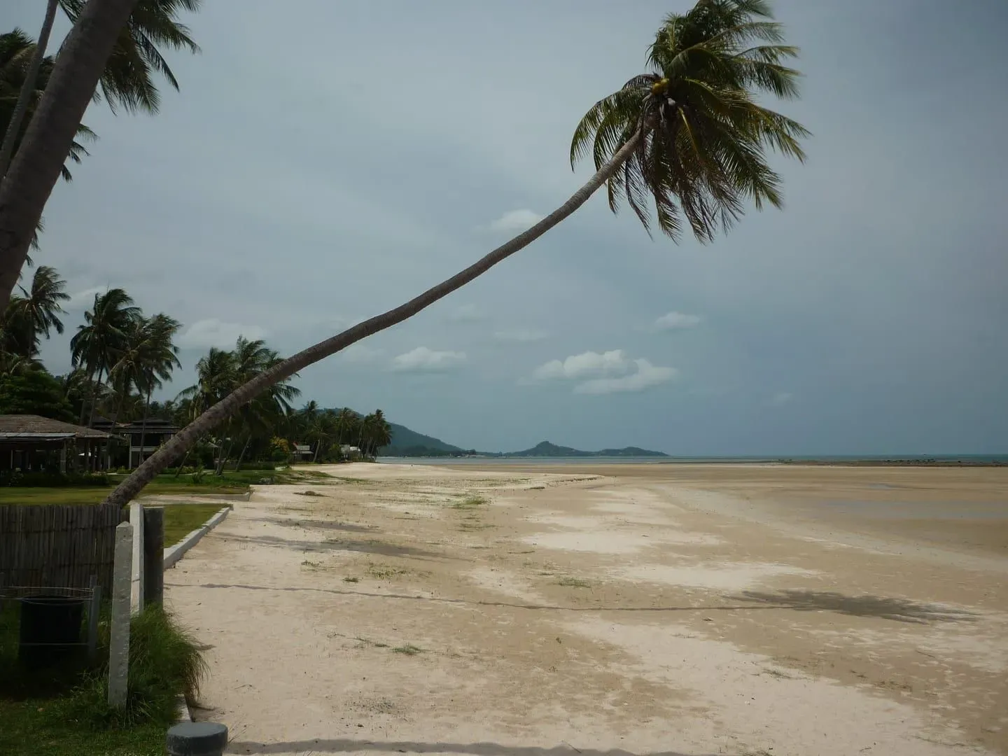 Easy Divers, Lamai Beach — PADI Training Centre Since 1987