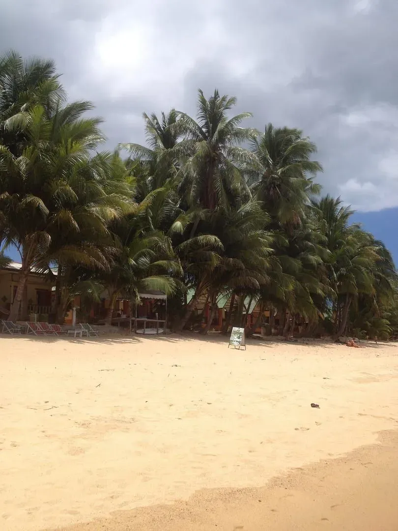 Beachfront bungalows behind palm trees on Maenam Beach, Koh Samui, near the viewpoint headland