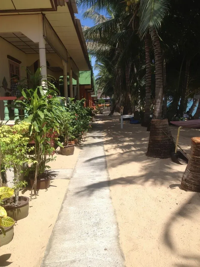 A sandy path between beachfront bungalows and palm trees on Maenam Beach, Koh Samui