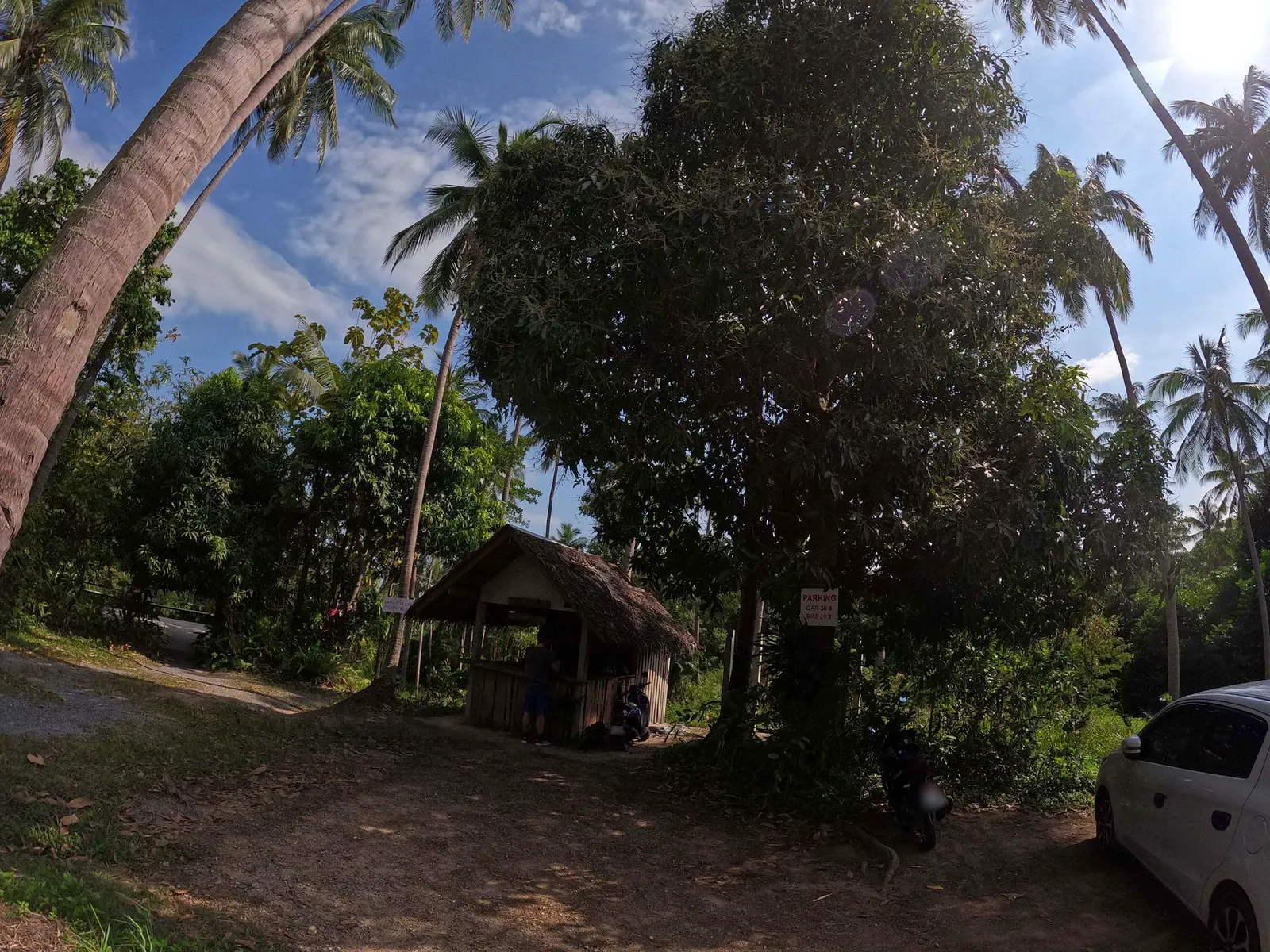 Un estacionamiento de tierra a la sombra de altas palmeras de coco cerca del inicio del camino forestal a Wang Sao Thong