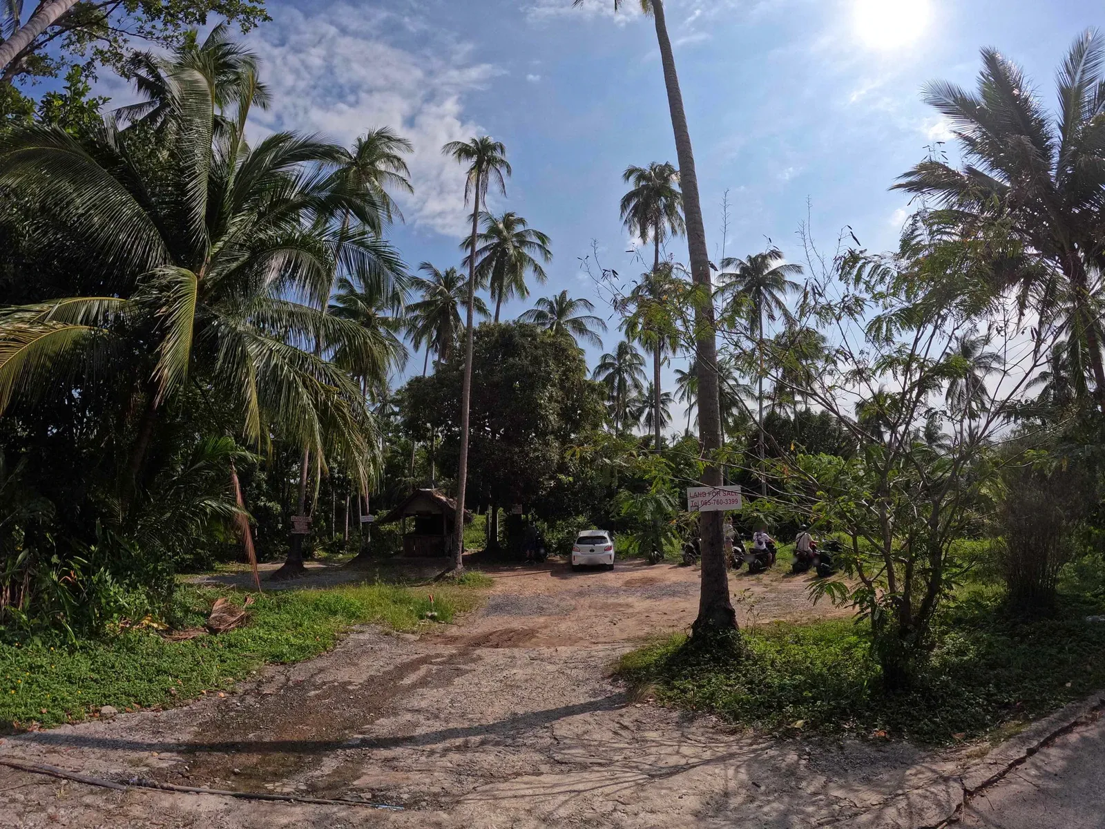 Un camino de concreto bordeado de cocoteros y plataneras conduce hacia la zona del inicio del sendero cerca de Ban Hua Thanon