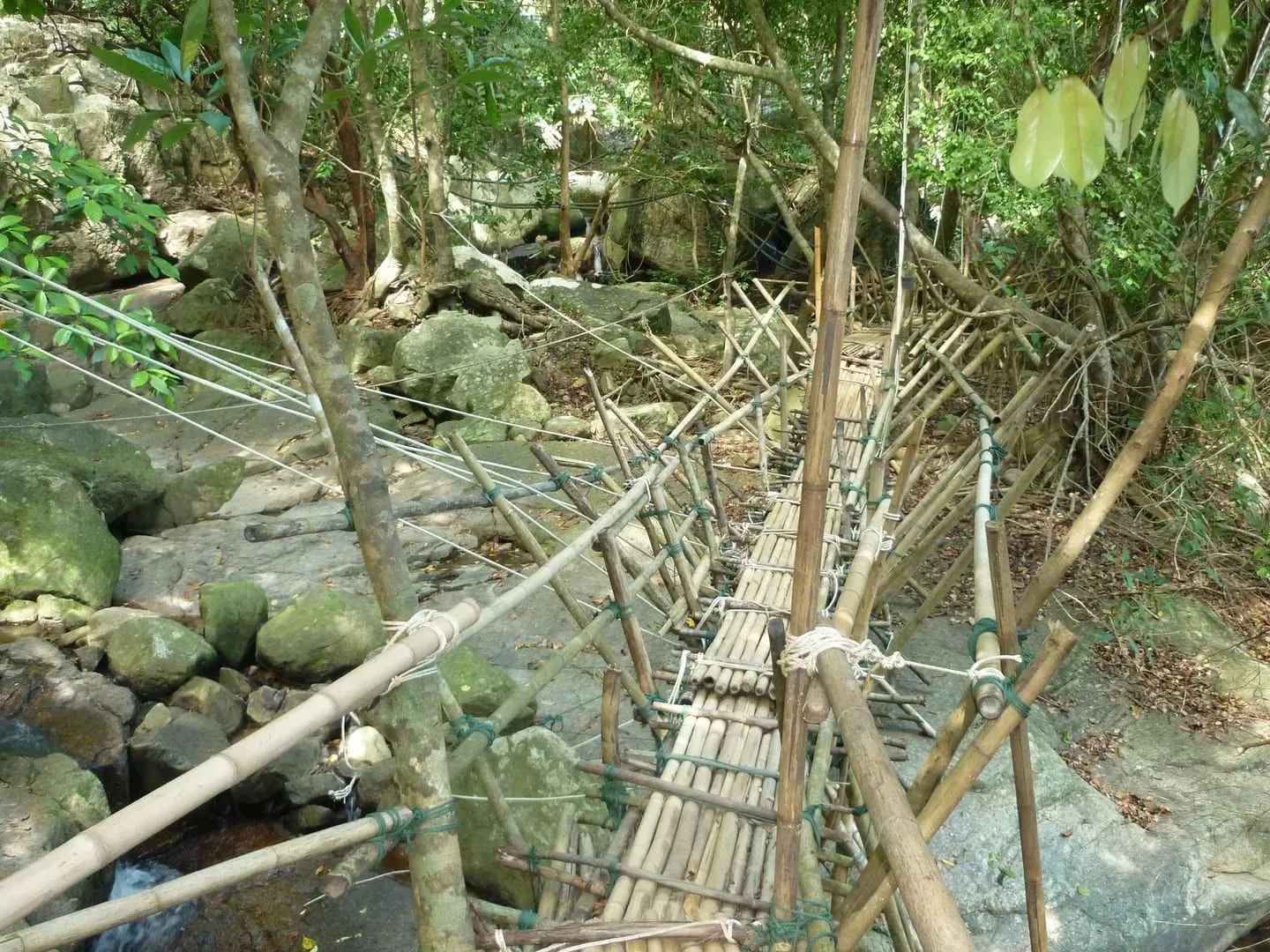 Forest path in the Na Mueang hills near Giant Summit and the Secret Buddha Garden, Koh Samui