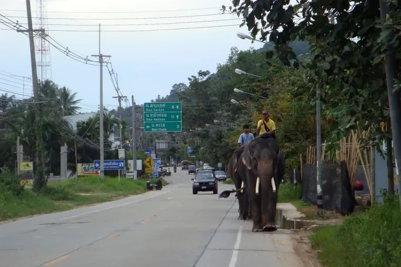 Die »Ringstraße« im Süden von Koh Samui, nahe den Namuang-Wasserfällen, Thailand