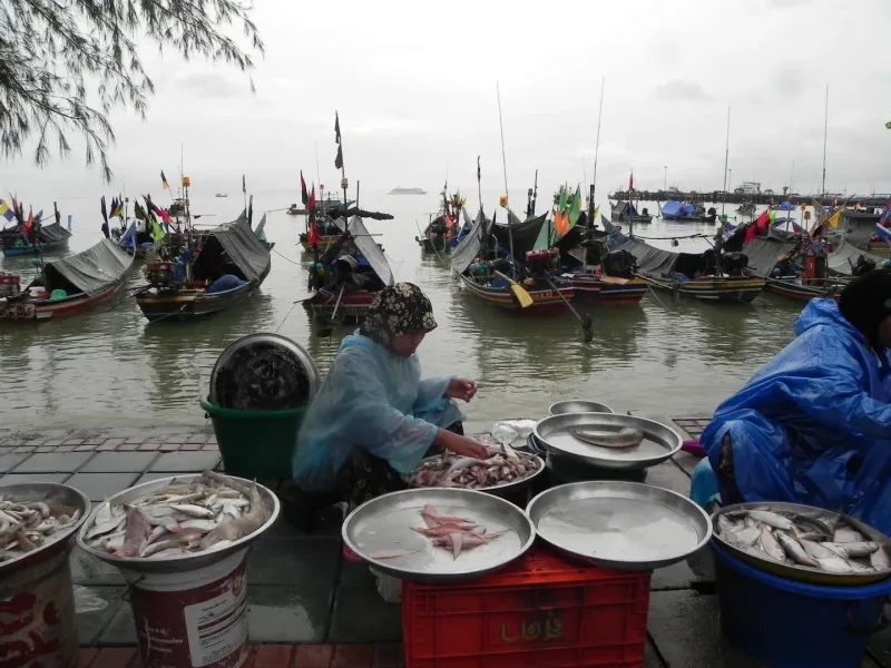 Fischmarkt im Hafen von Nathon (Ko Samui)