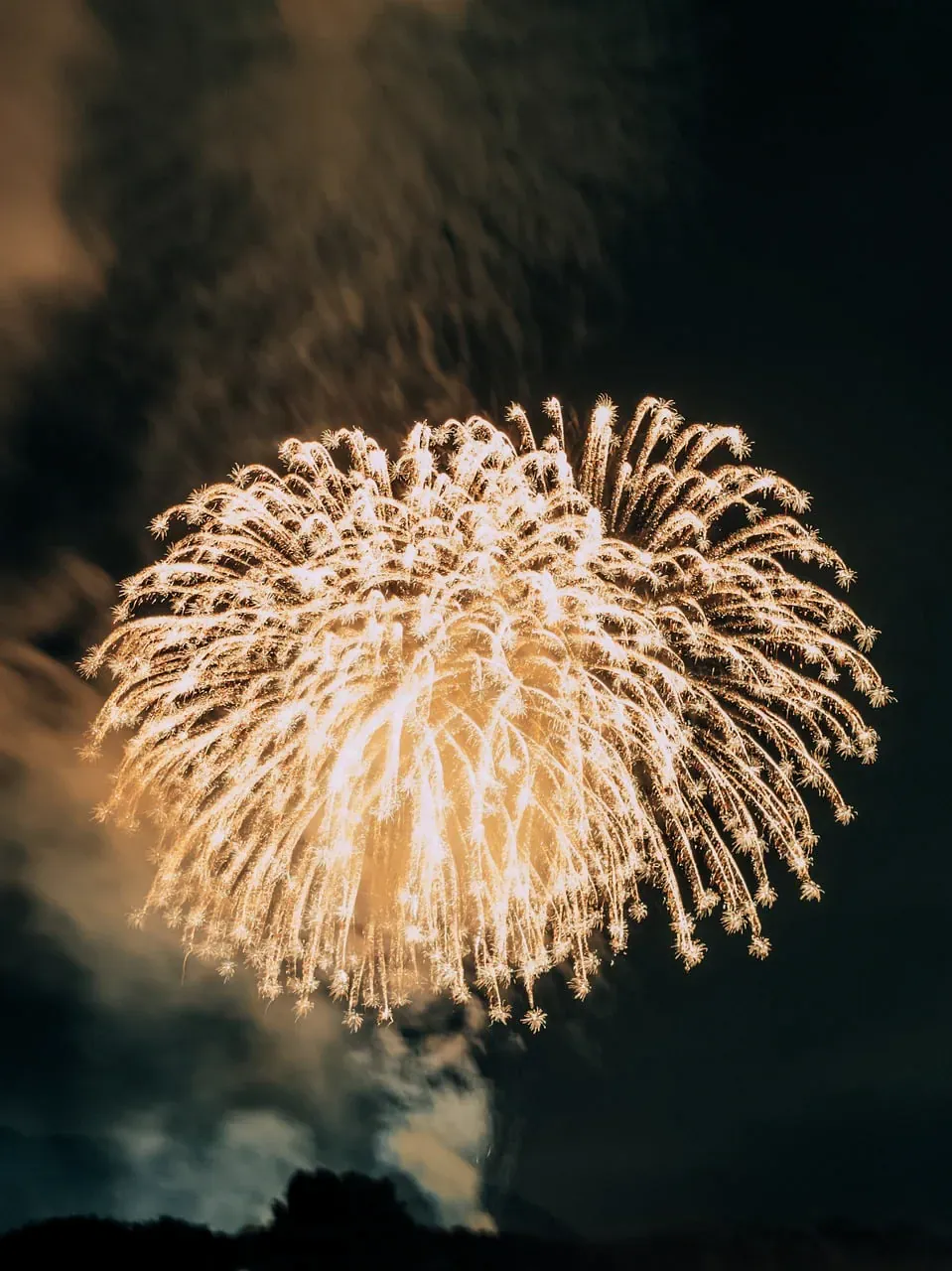 Golden fireworks bursting in the night sky