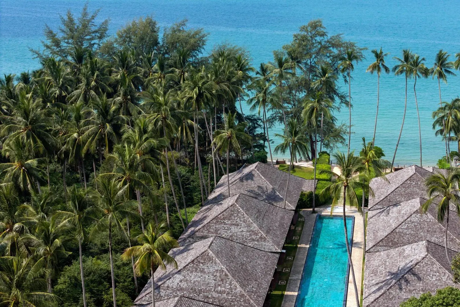 The curved pool deck at Nikki Beach Koh Samui with umbrellas and palm trees, from the resort's own listing