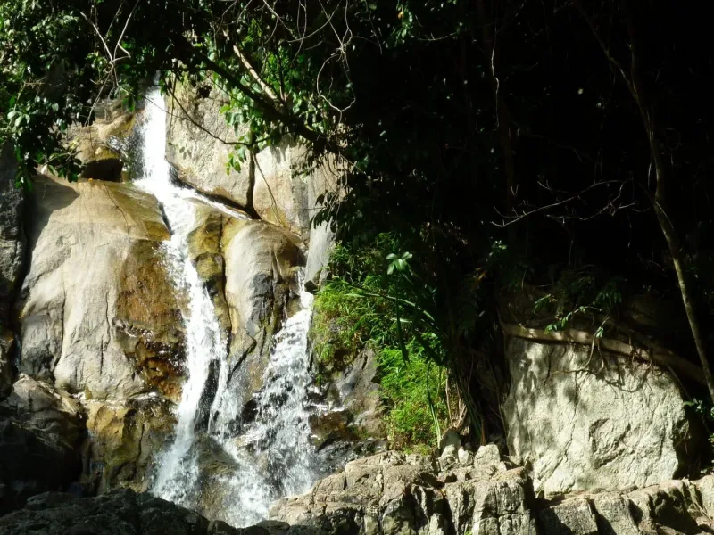 Coastal hillside scenery near the Overlap Stone viewpoint