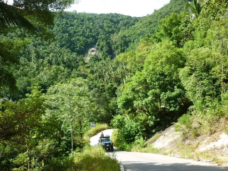 Jungle-covered hills typical of the trail up to Overlap Stone