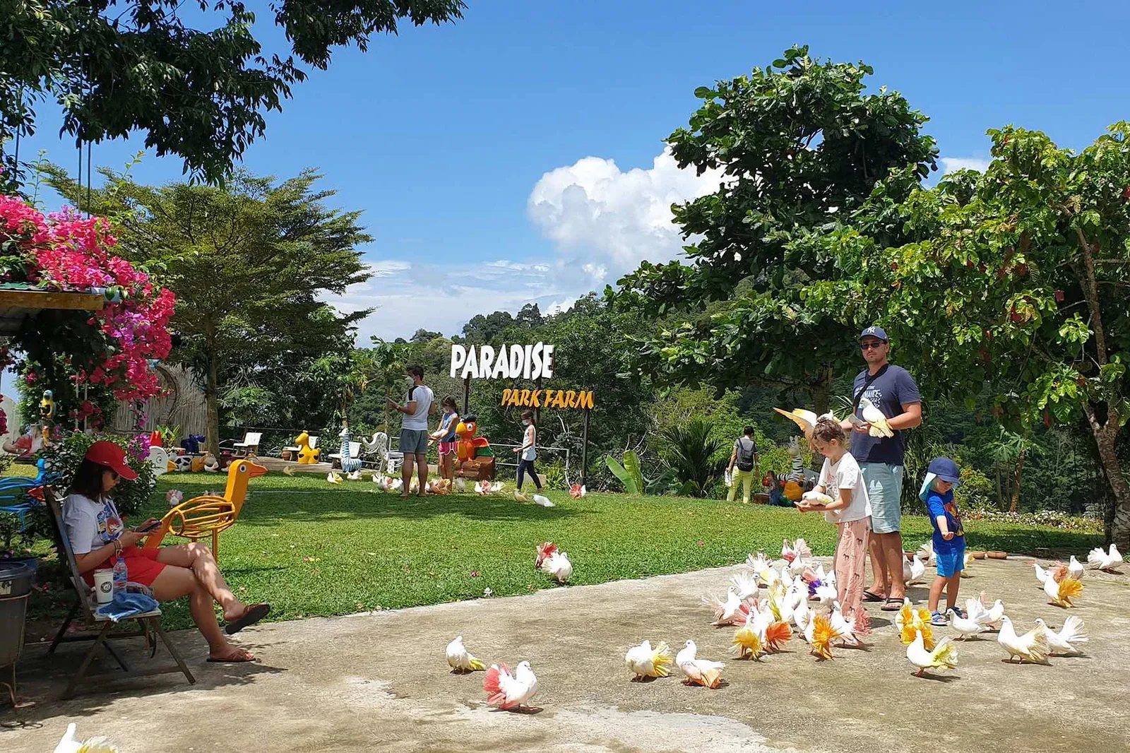 The Paradise Park Farm sign with visitors feeding a flock of ornamental pigeons on the lawn