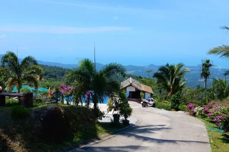 The driveway and entrance pavilion at Paradise Park Farm, with the pool and coastal view beyond