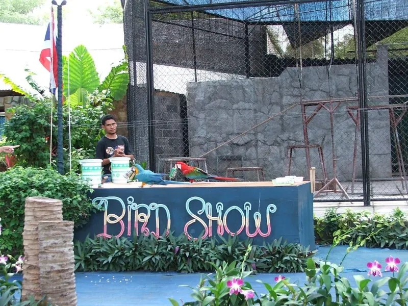 Vogel-Show im Samui Aquarium