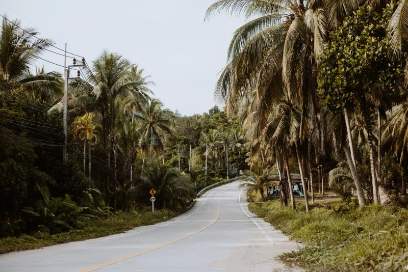 Rental car on a tropical road in Thailand