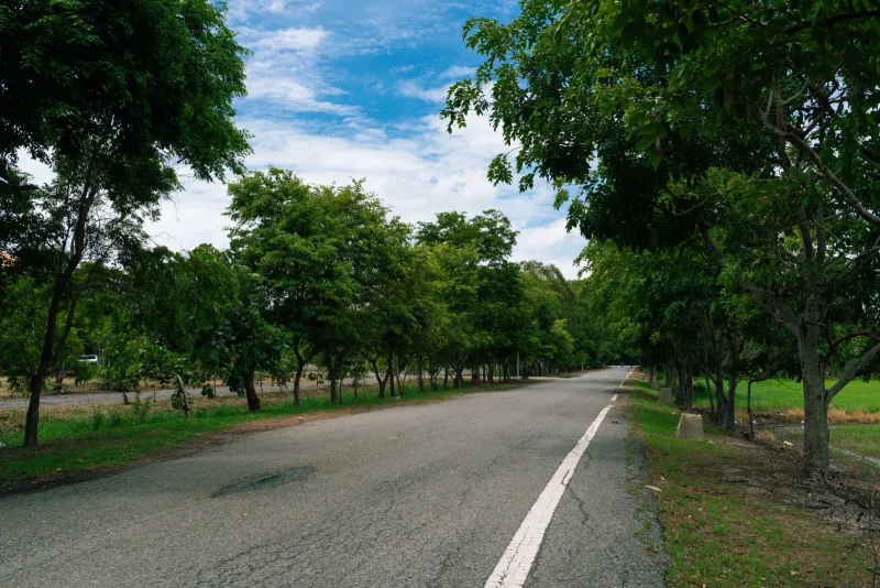 Car rental for island roads in Thailand