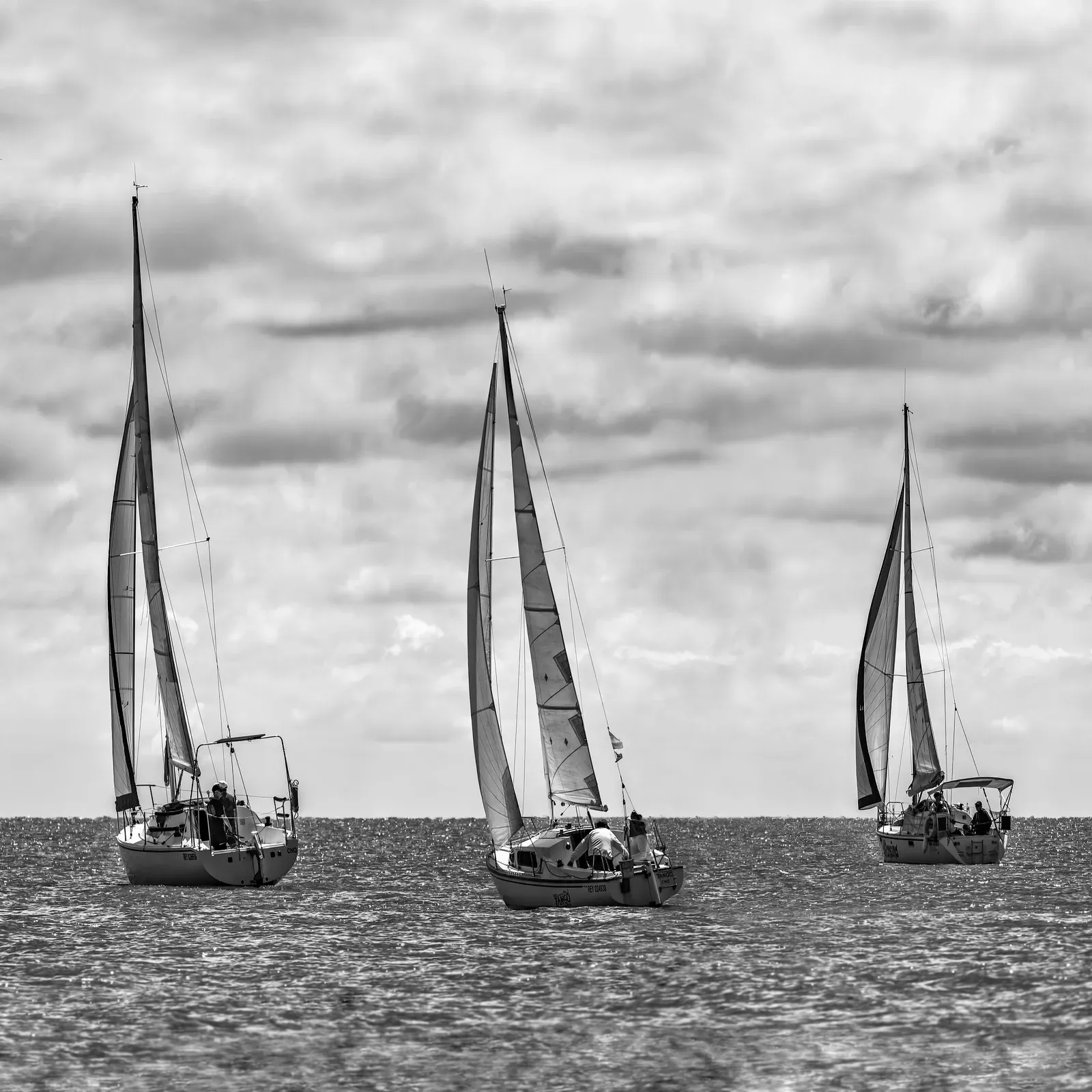 Black and white photo of sailboats at sea