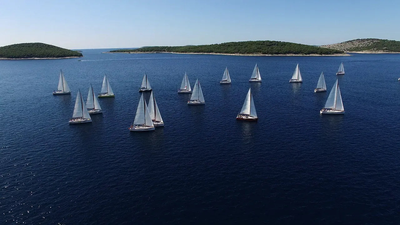 Many sailboats racing in a bay